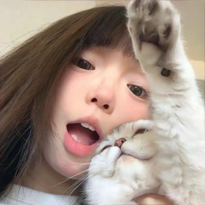 白鹭谣