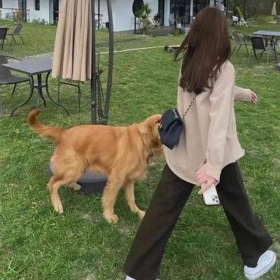 胜利之光