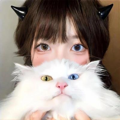 主妇的战争